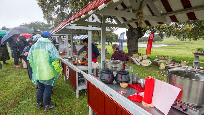 MasterChef - MasterChef 5 - Cocina de riesgo bajo la lluvia