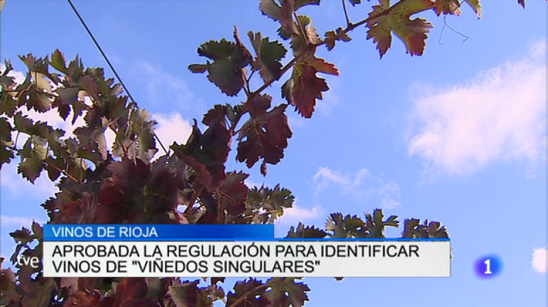 Telerioja en 2' - 08/06/17