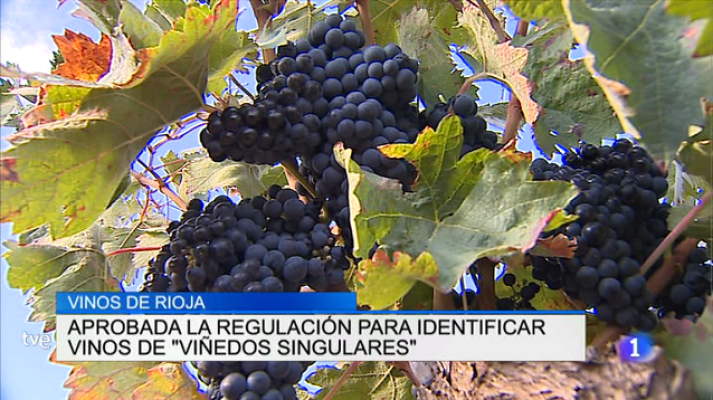 Informativo Telerioja - Informativo Telerioja 2 - 08/06/17