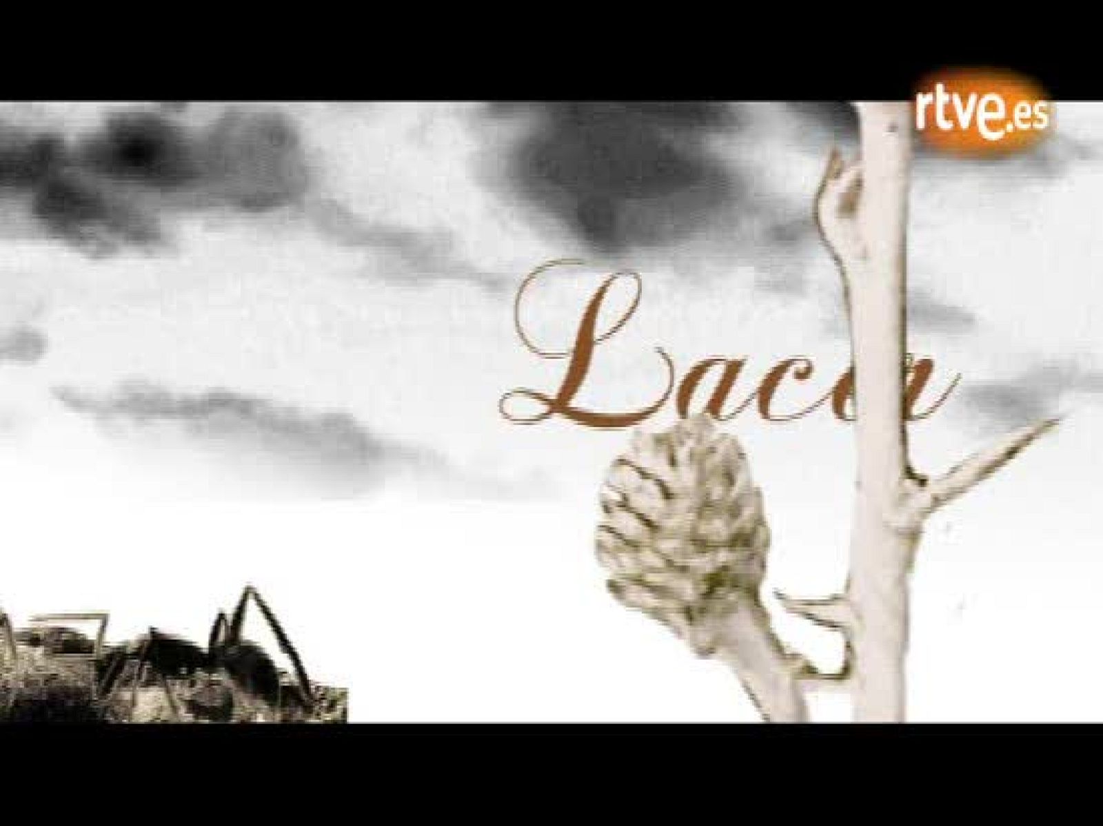 Eurovisión 2009 - Encuentro digital con Electronikboy - Eurovisión | Ver