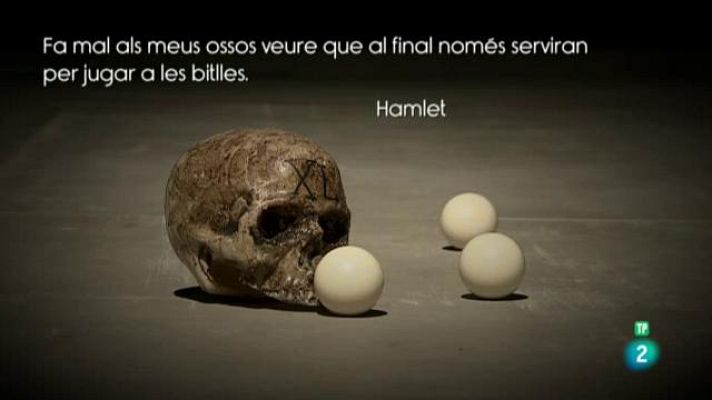 Punts de vista - Hamlet