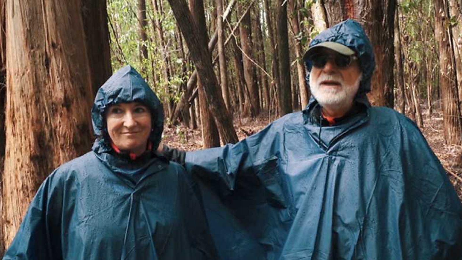 Evasión - T5 - Programa 11 - ver ahora