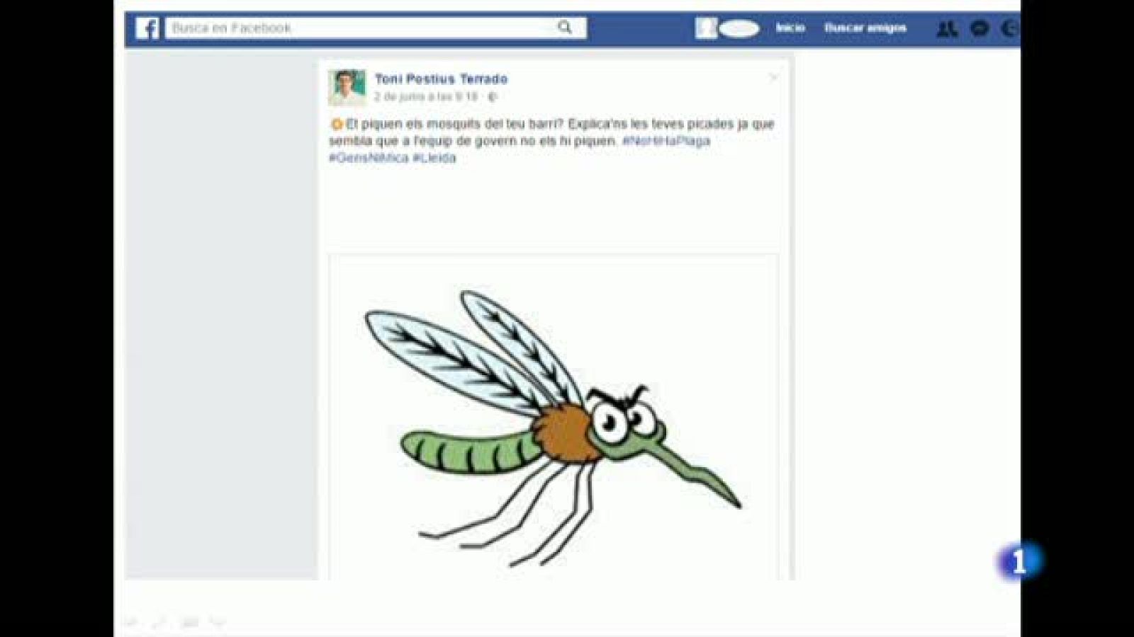 L'equip de govern de l'ajuntament de Lleida i l'oposició es barallen per la proliferació de mosquits