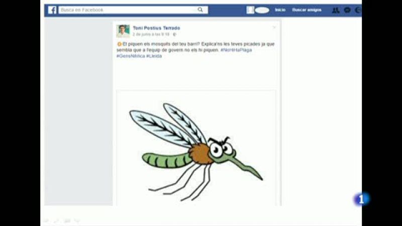 L'equip de govern de l'ajuntament de Lleida i l'oposició es barallen per la proliferació de mosquits