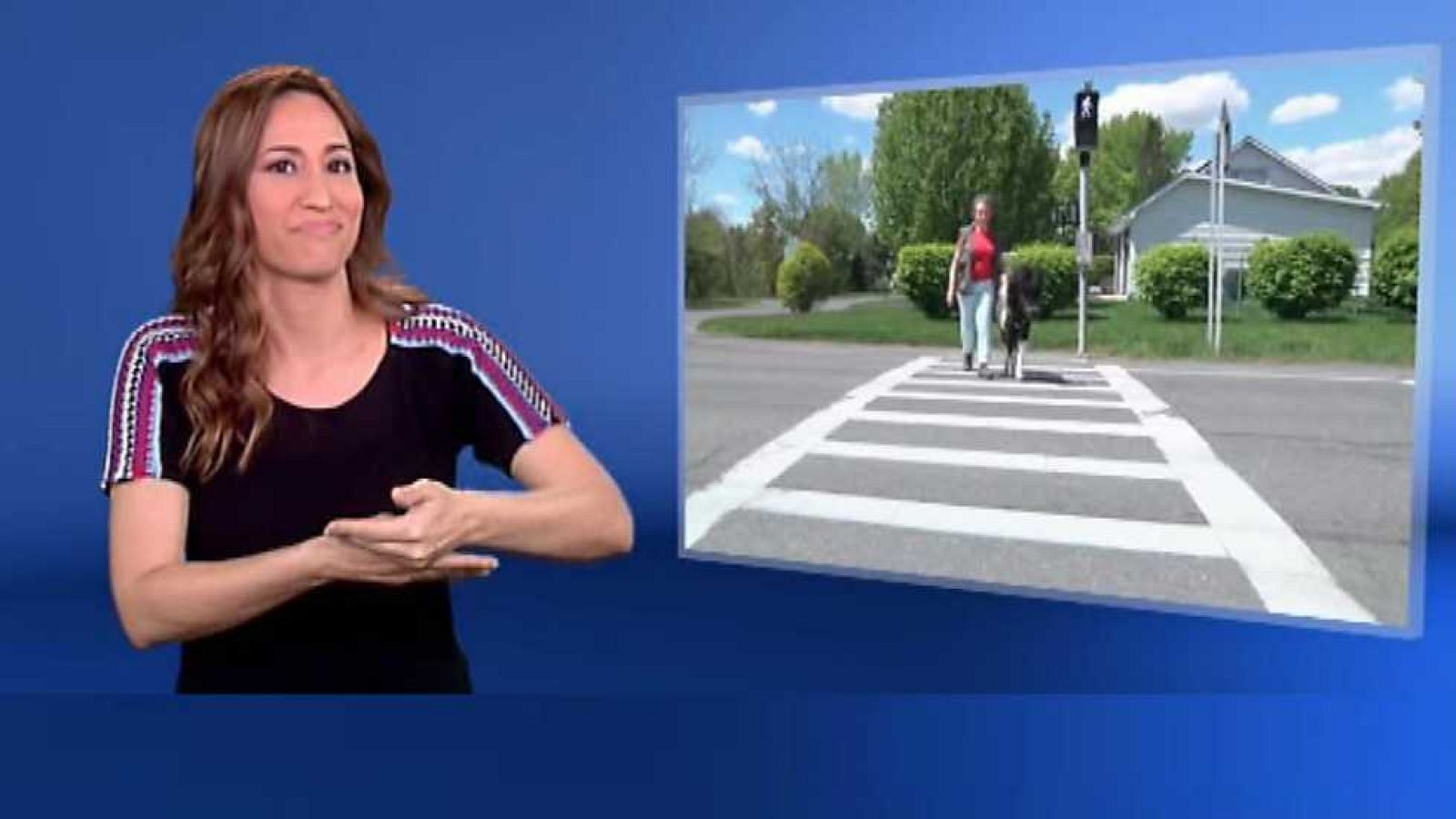 En lengua de signos - 11/06/17 - ver ahora