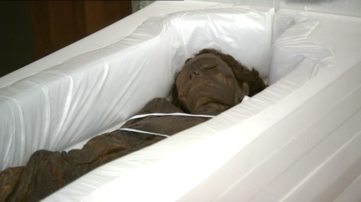  - Autopsia momia guanche