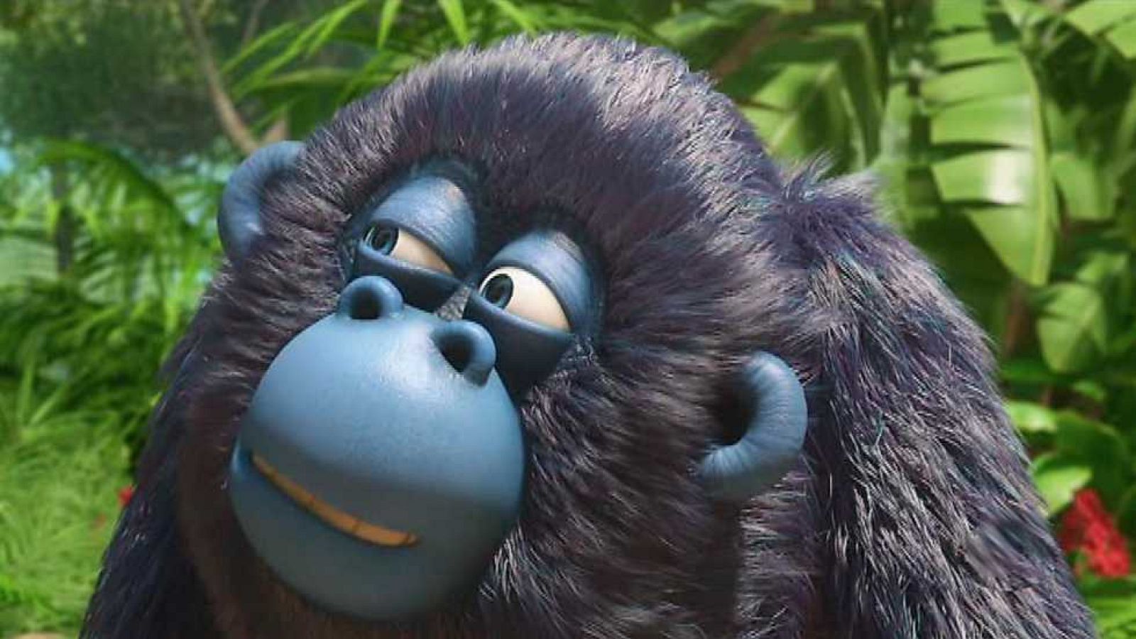 La panda de la selva - Hibertarsus - RTVE.es - La panda de la selva | Ver