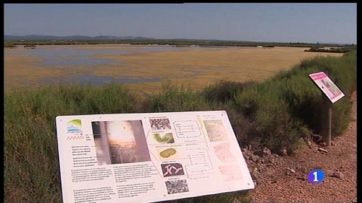 Informatiu Balear - Es Trenc ja és Parc Natural
