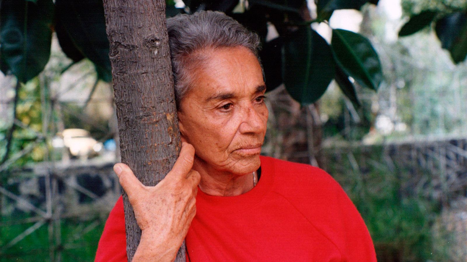 'Chavela'