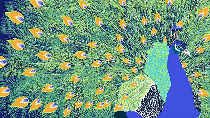 Días de cine - 'Filmadrid 2017'