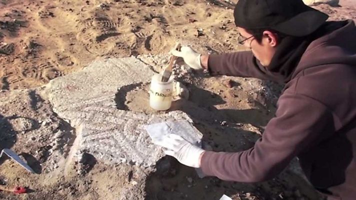 Universo UNED - UNED - 16/06/17