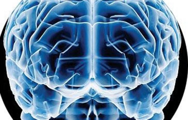  - El amor desencadena reacciones