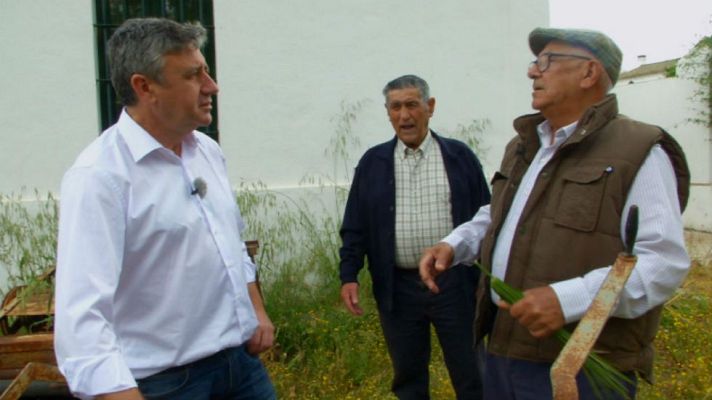 Aquí la Tierra - ¿Qué es el crin vegetal?