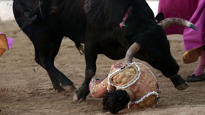 Informativo 24h - Muere el torero Iván Fandiño tras sufrir una grave cornada en Francia