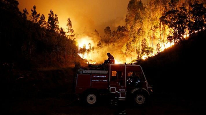Informativo 24h - Decenas de muertos en un incendio en el centro de Portugal