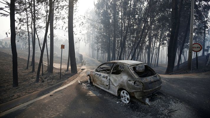 Informativo 24h - Mas de medio centenar de heridos en un "terrible" incendio forestal en Portugal