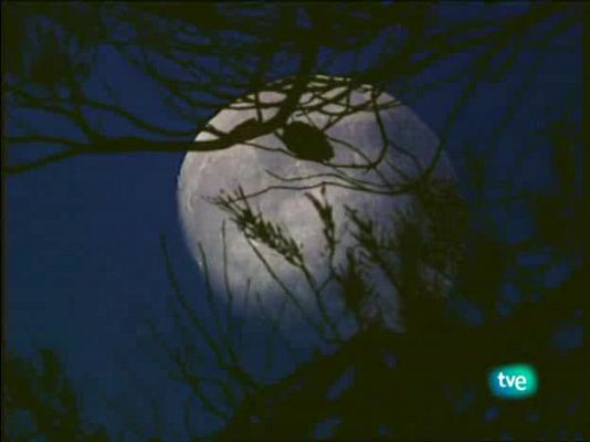 Jara y sedal - Recuerdos de otoño