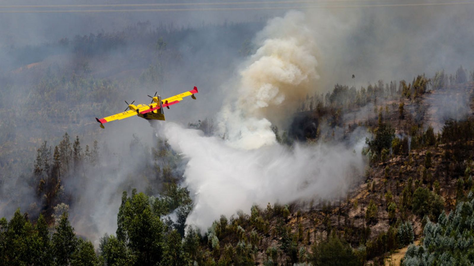 Incendios forestales, un grave problema en Portugal
