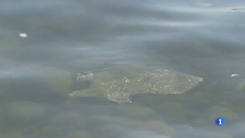 Novè triatló de Barcelona per la preservació dels fons marí