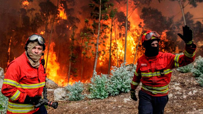 Telediario 1 - El impacto de un rayo en un árbol, causa del incendio