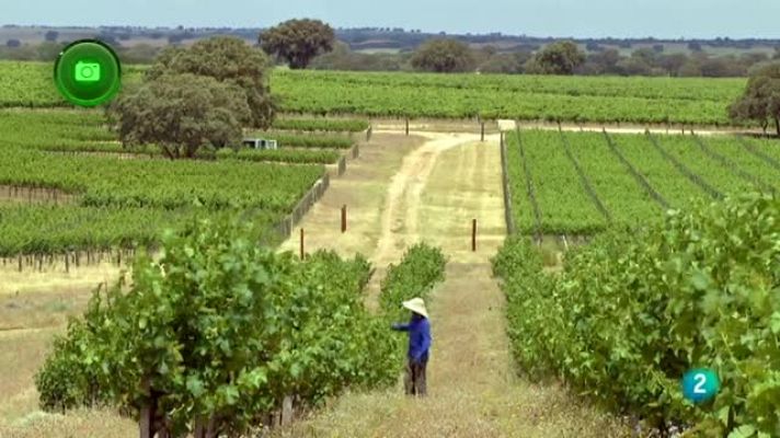 Agrosfera - LA RODA, ALBACETE