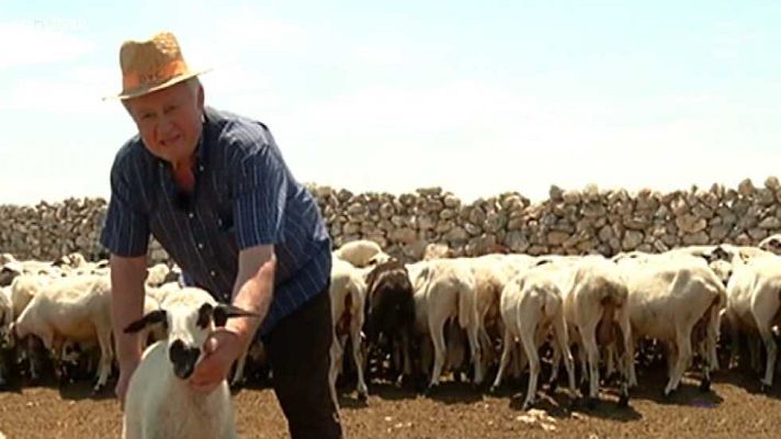 España Directo - España Directo - 19/06/17