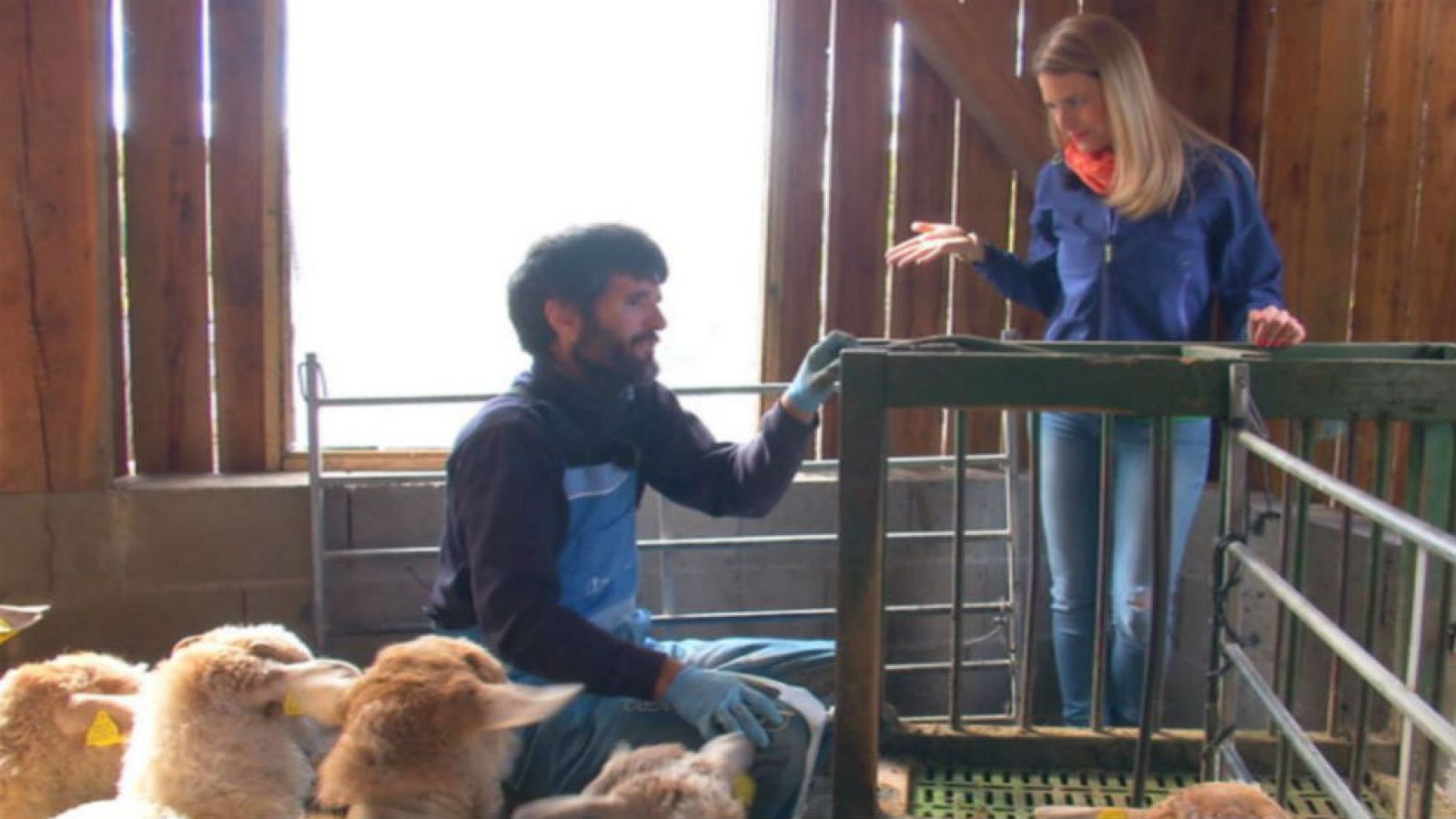 Elaborando queso idiazábal