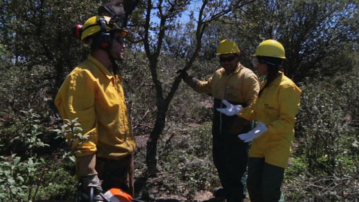 Aquí la Tierra - Prevención de incendios