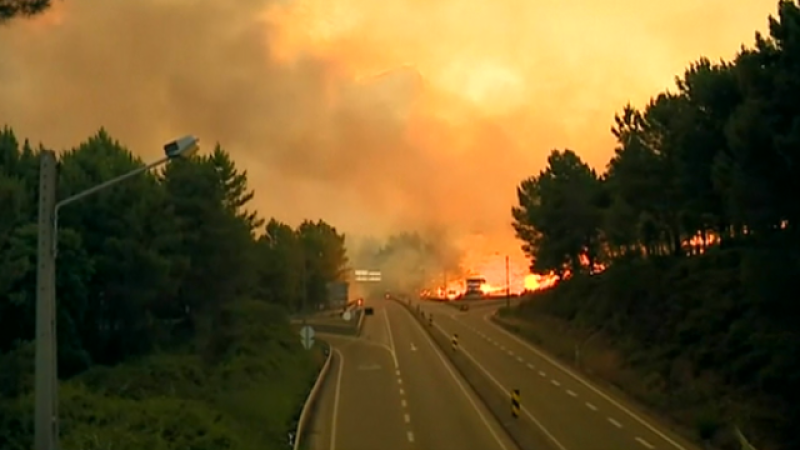 Teleplaneta - 19/06/2017