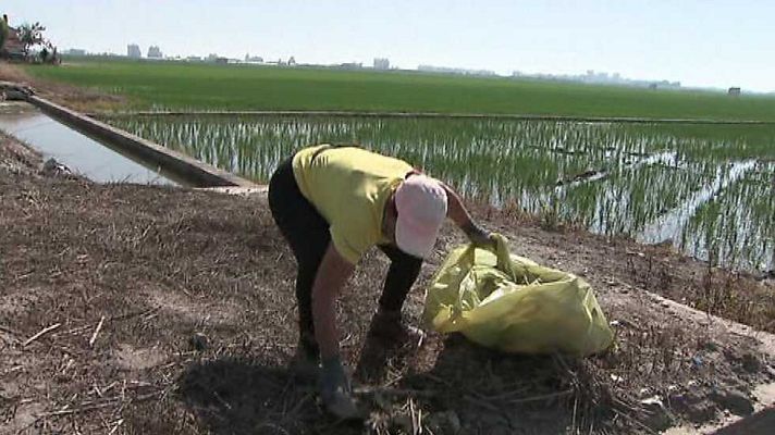 L'informatiu - Comunitat Valenciana - La Comunidad Valenciana en 2' - 20/06/17
