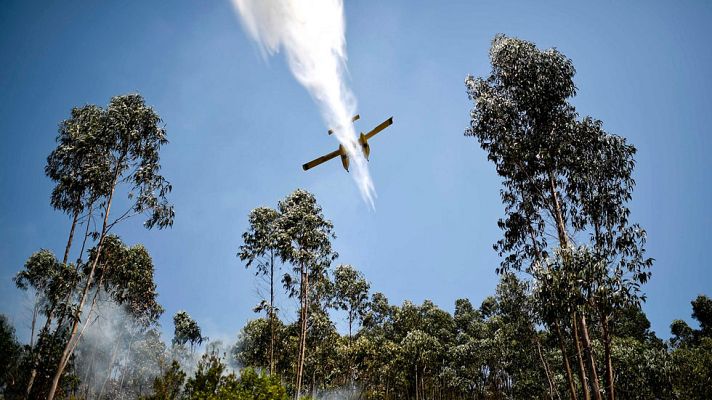 Telediario 1 - Telediario 1 en 4' - 20/06/17