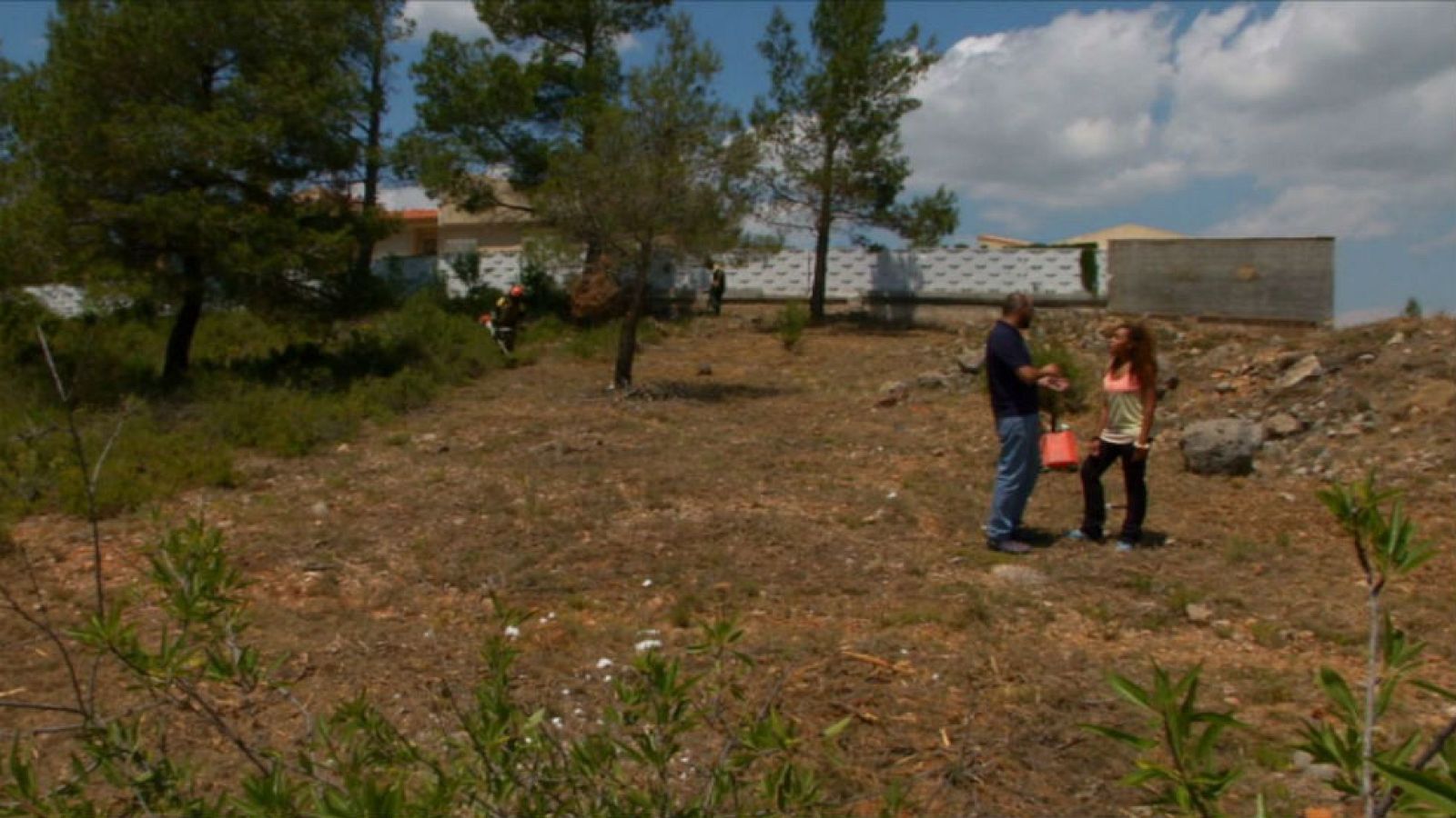 Trabajo selvícola para la prevención de incendios
