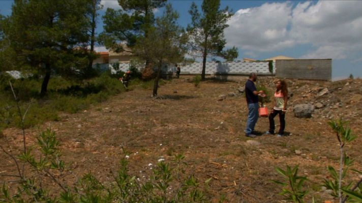 Aquí la Tierra - Trabajo selvícola para la prevención de incendios