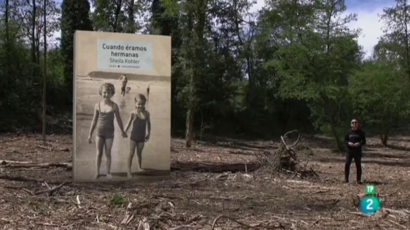 Las recomendaciones del programa