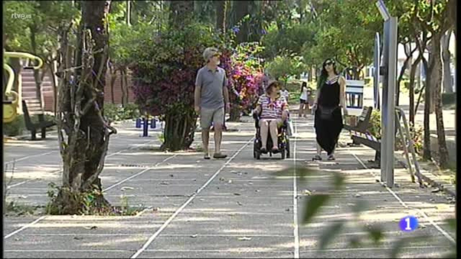 Día Mundial de la ELA: 800 casos en Andalucía | Ver