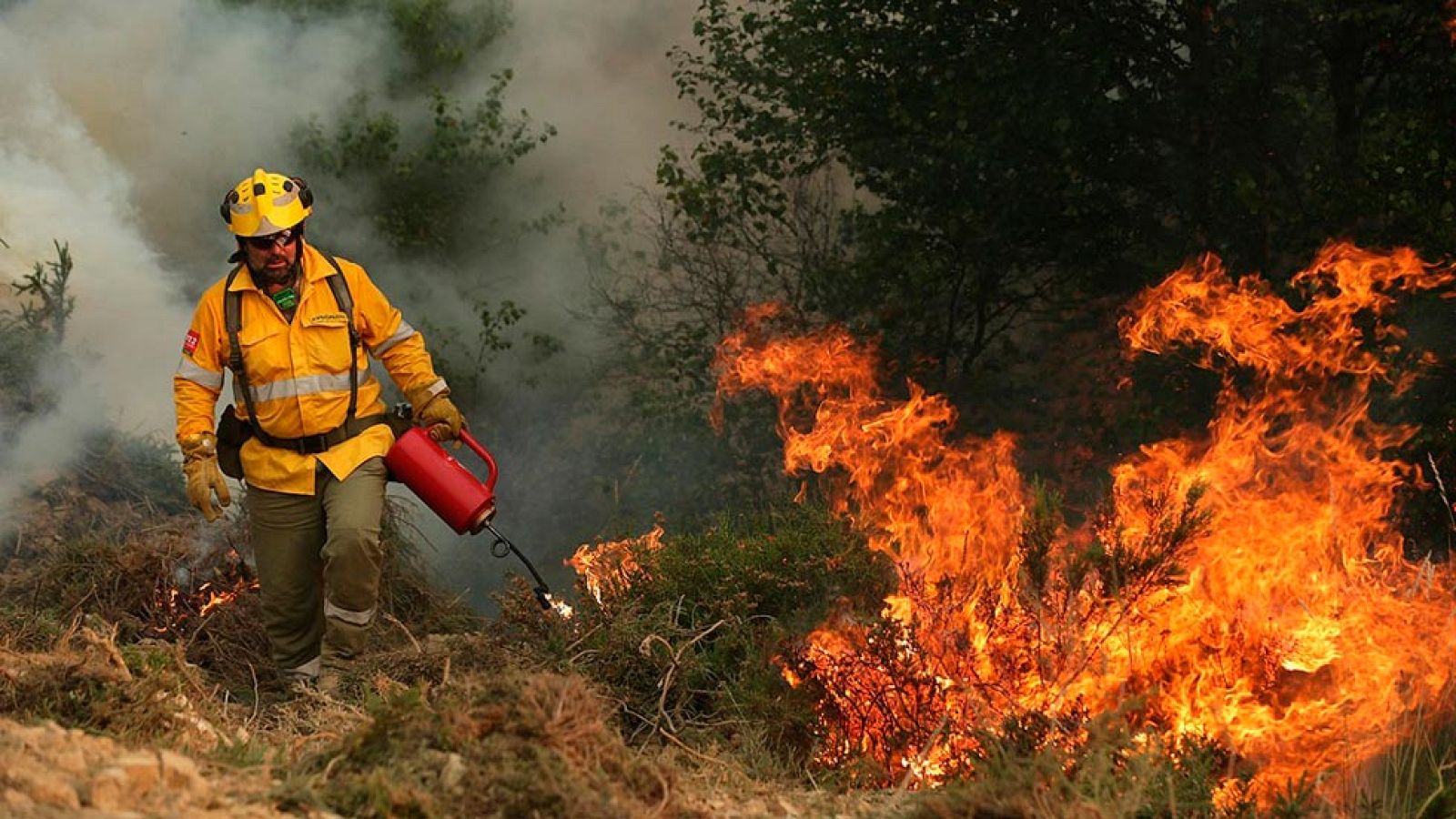 Incendio en Portugal - El jefe de los bomberos portugueses cree que el incendio fue provocado