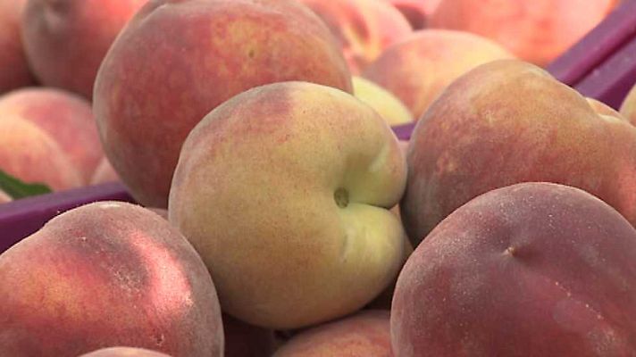 Agrosfera - Agrosfera - 24/06/17