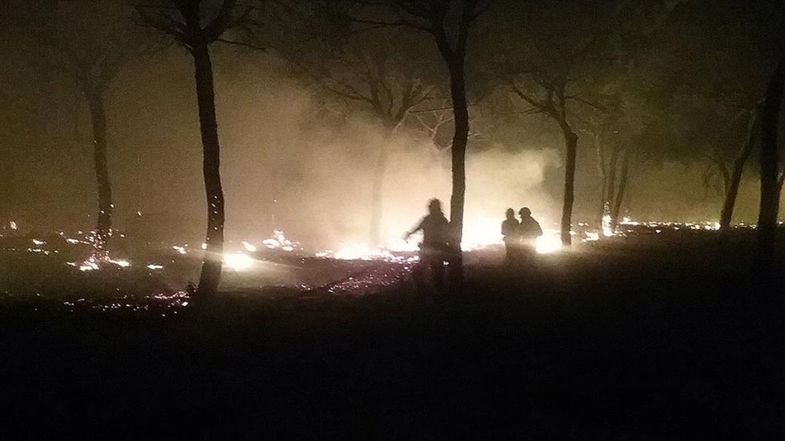 Un incendio forestal en Moguer (Huelva) obliga a desalojar a más de dos mil personas