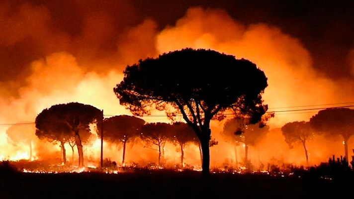 Informativo 24h - Incendio en Moguer amenaza Doñana