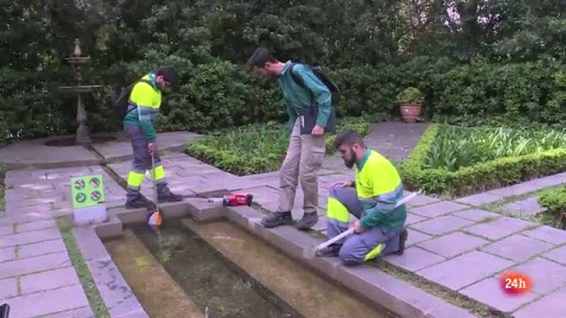 REPOR - Guerra al mosquito - Tomás Montalvo, del Ayuntamiento de Barcelona, acaba de recibir un aviso de Mosquito Alert