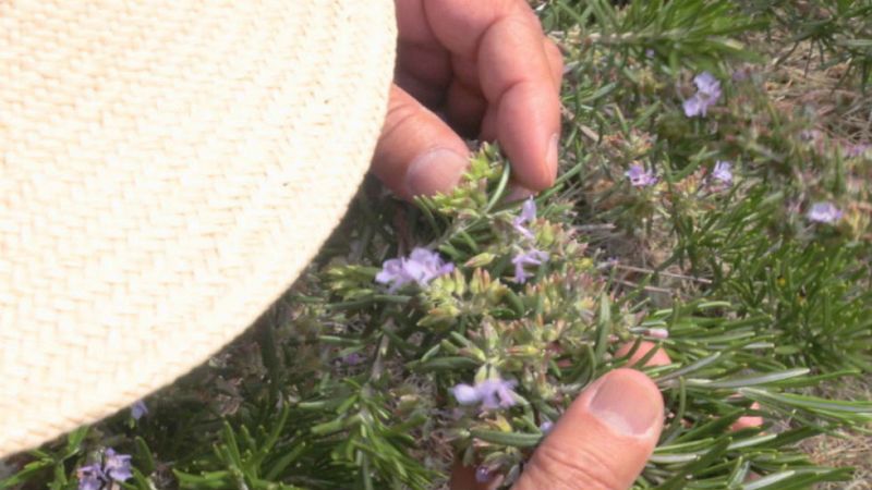 Aquí la tierra - Piernas y pies, como nuevos