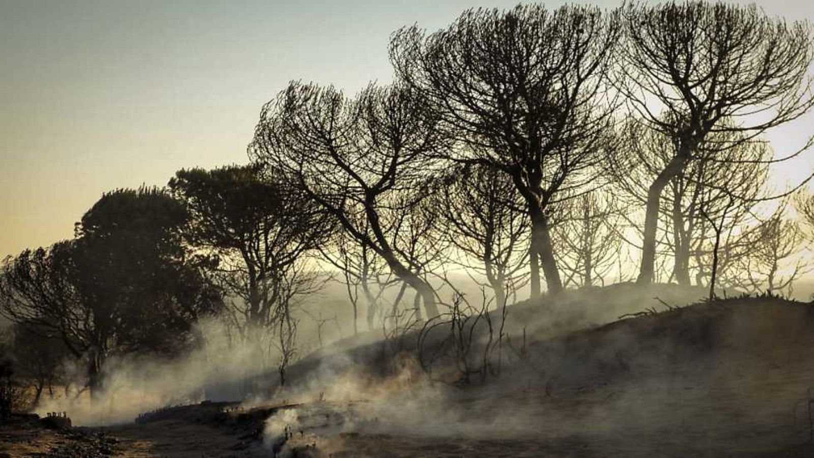 20H - 26/06/17 - ver ahora