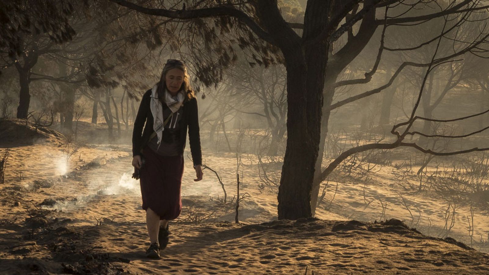 A las puertas del camping de Doñana, en Mazagón, hoy había cola. La mayor parte de los desalojados por el incendio salieron corriendo de aquí. Vuelven a ver qué se encuentran.