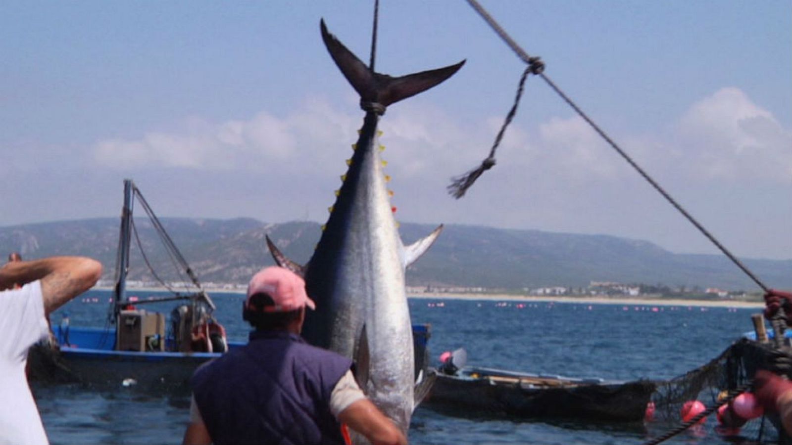 La "levantá" del atún