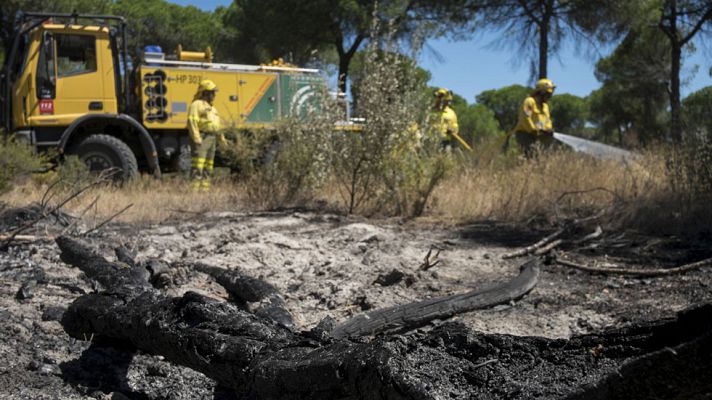 Telediario 1 - Los afectados por el incendio de Doñana regresan para evaluar los daños en sus casas