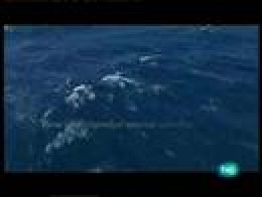 España, entre el cielo y la tierra - El canto de Orfeo