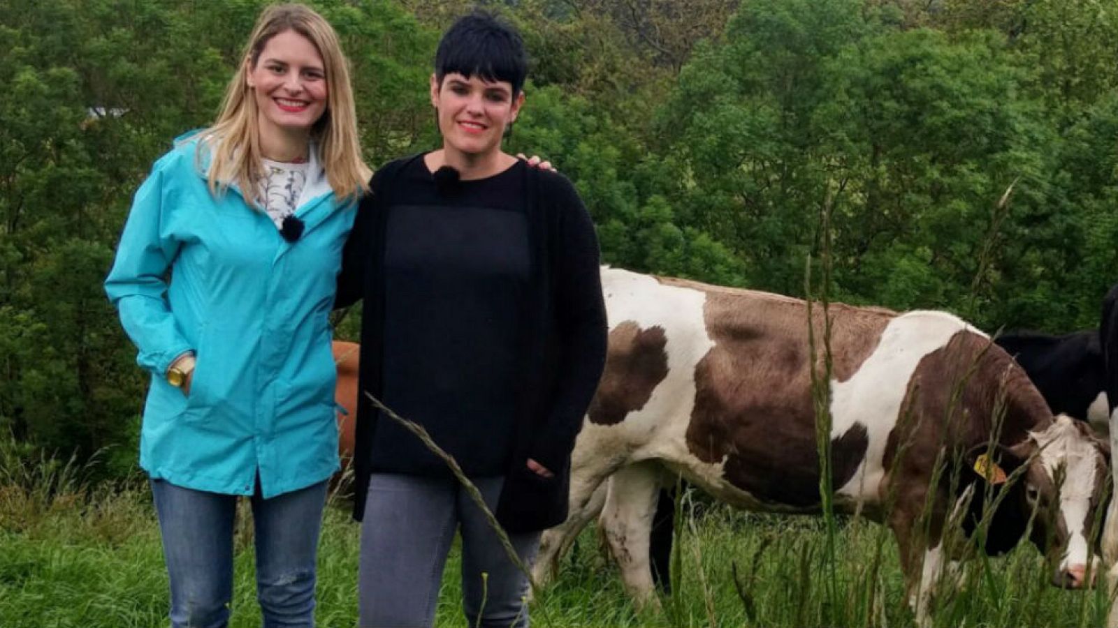 La heladería en la ganadería