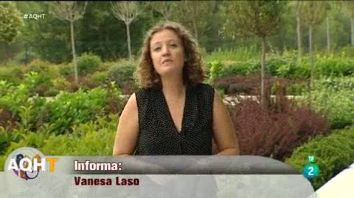 Aquí hay trabajo - 800 empleos en una empresa de seguridad