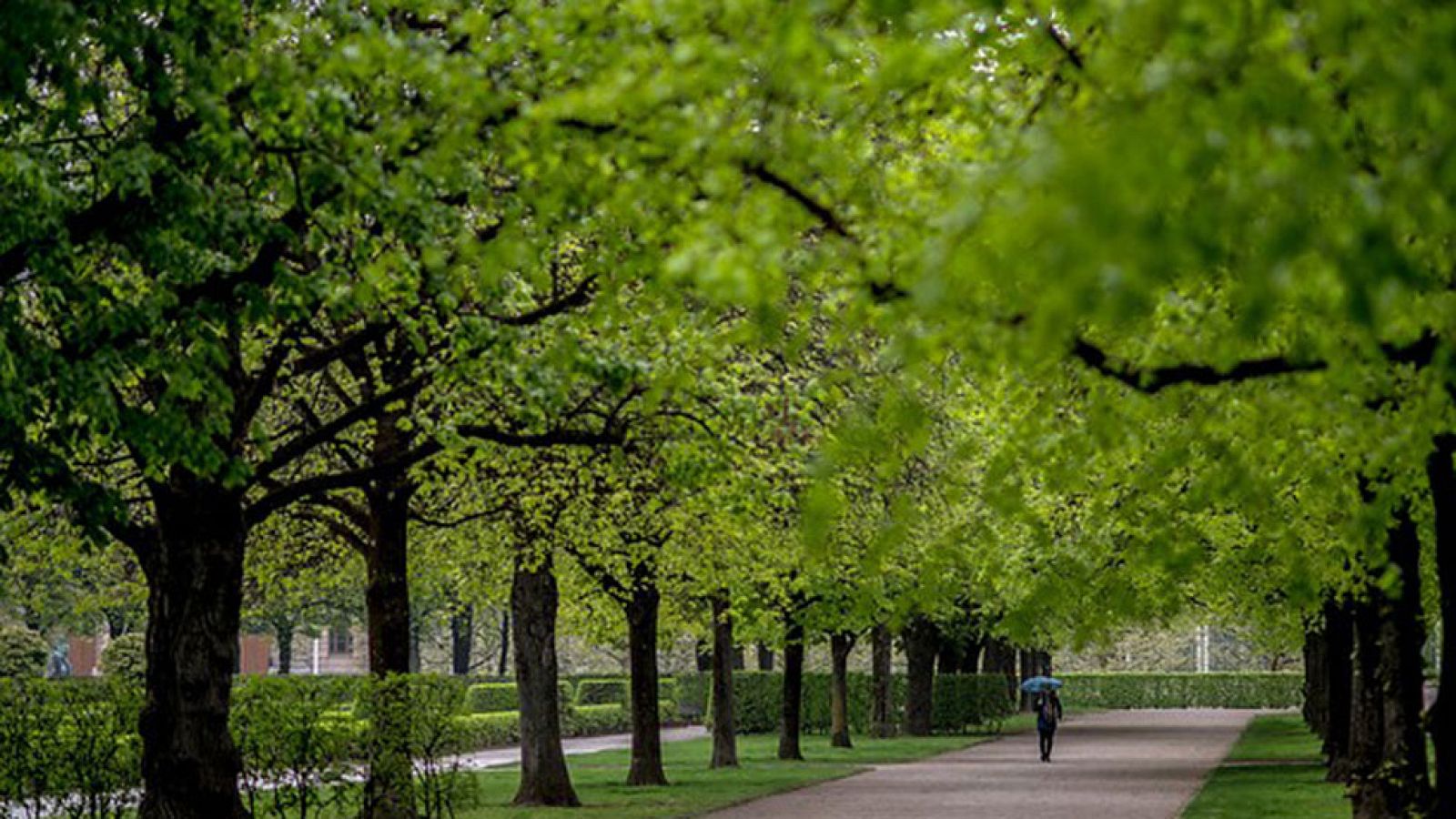 El Tiempo en la Comunidad de Madrid - 30/06/17