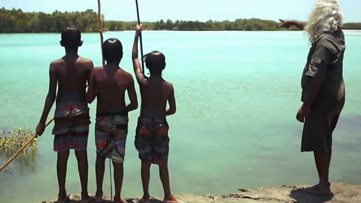 El escarabajo verde - Turismo por un tubo